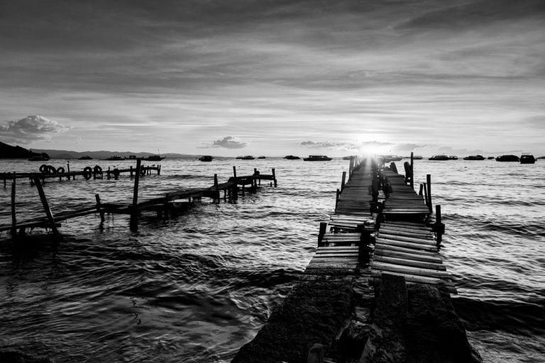 _MG_7890_8